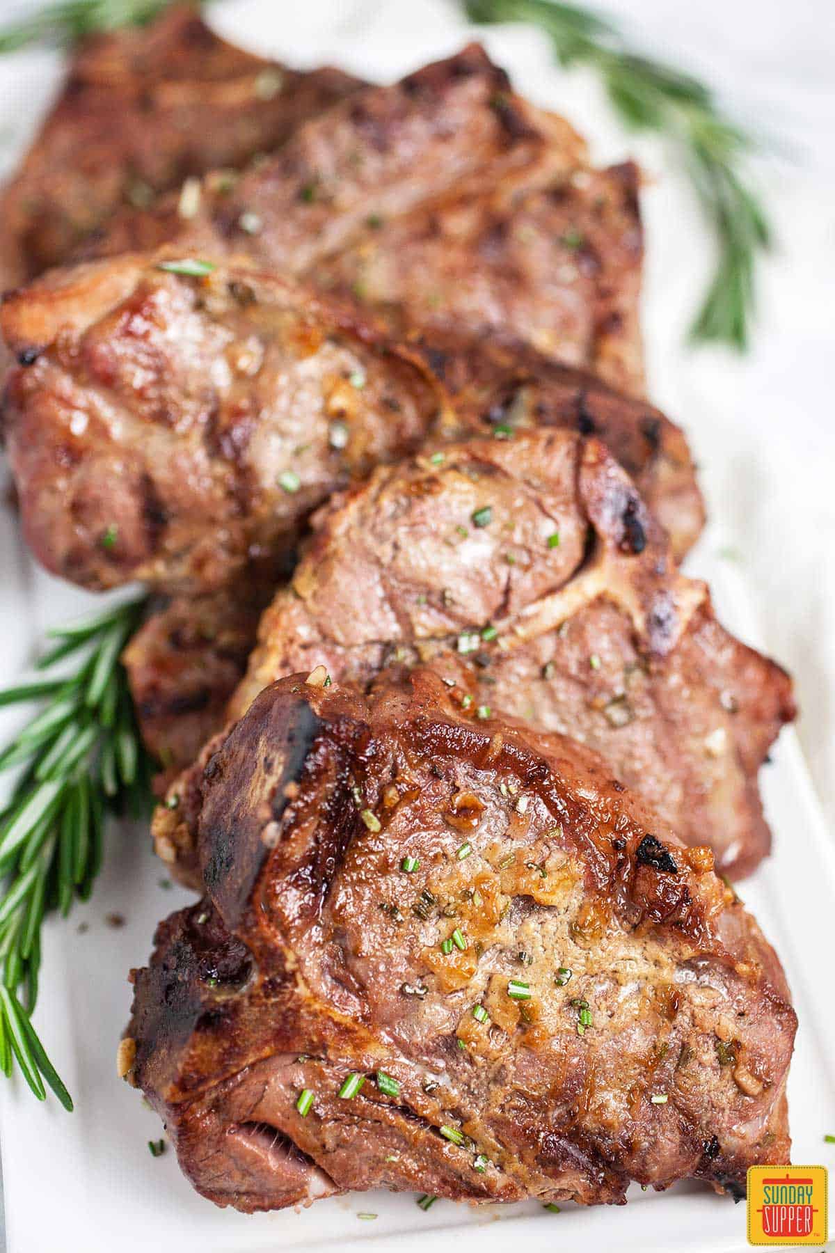 Five grilled lamb chops in a row on a white plate with fresh sprigs of rosemary