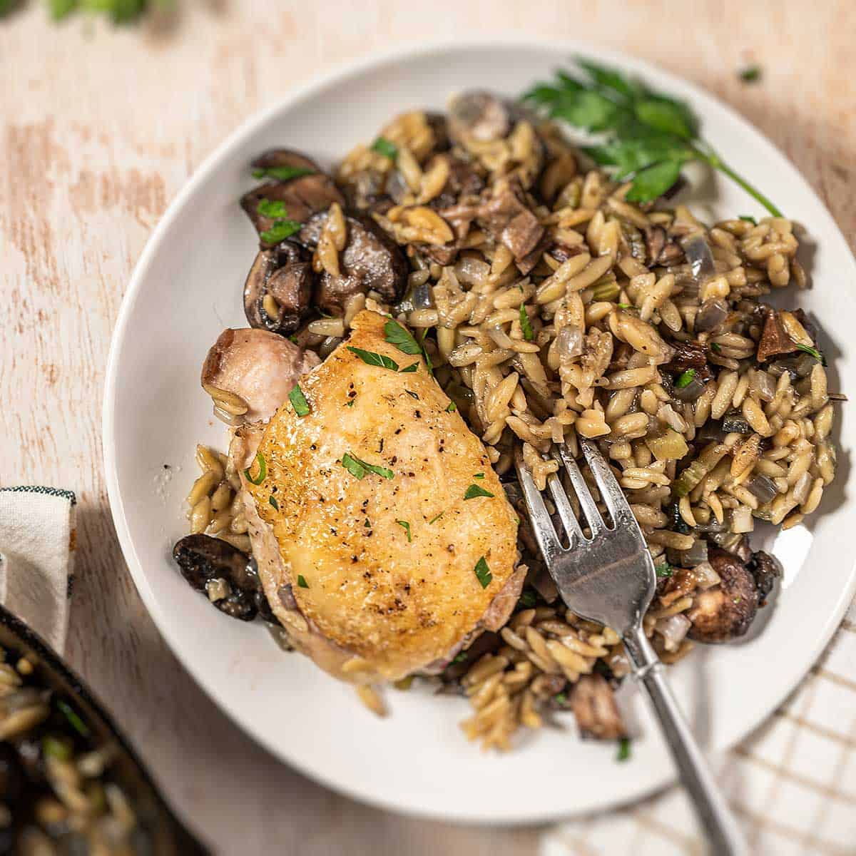 chicken and orzo pasta on a white plate with a fork