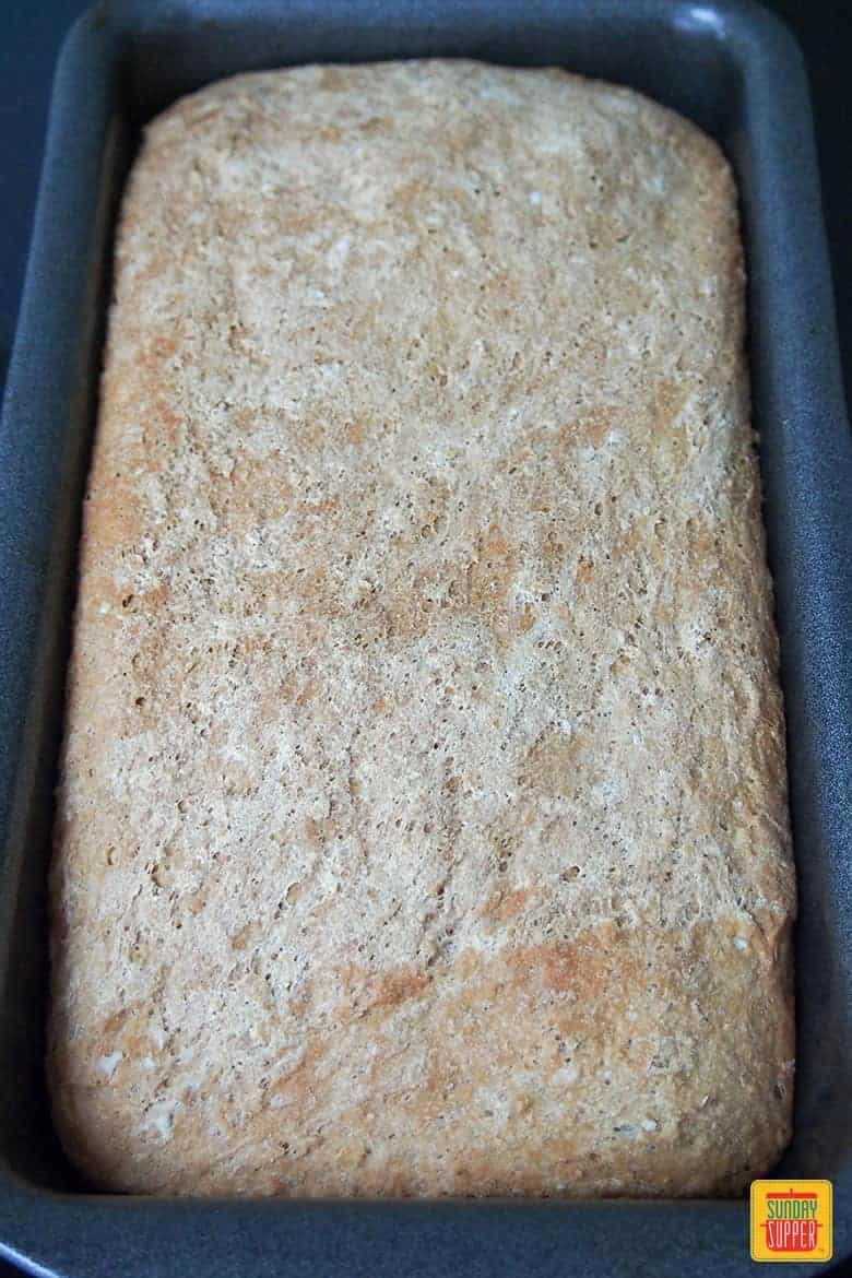 Sprouted bread in loaf pan after baking