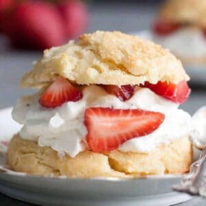 Close up of strawberry shortcake on a plate