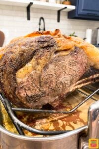 Boneless prime rib roast after roasting on a pan