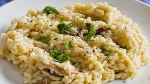 Porcini risotto best sale instant pot