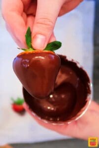 After dipping the strawberry in chocolate - strawberry covered in chocolate