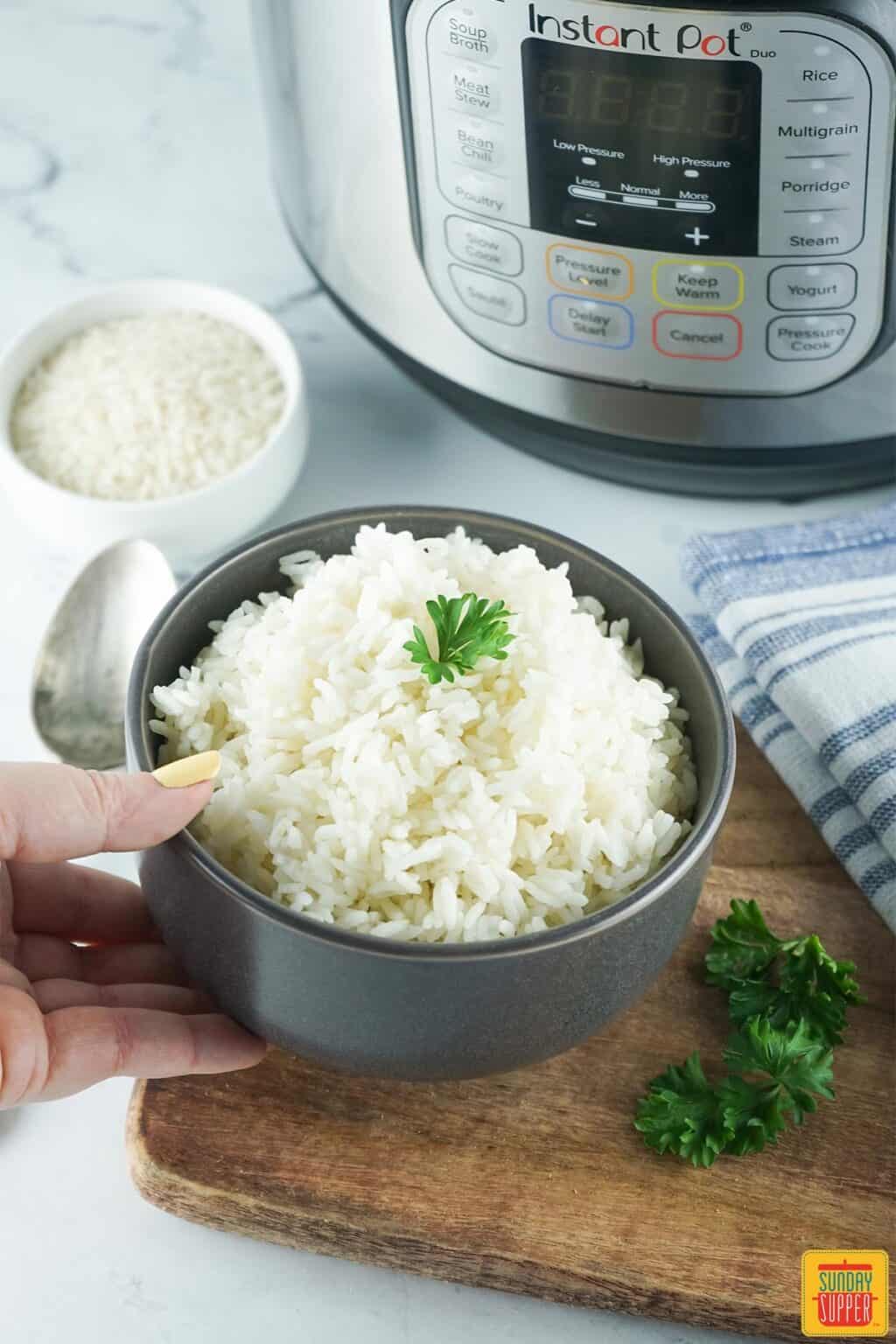 Instant Pot White Rice Recipe - Sunday Supper Movement