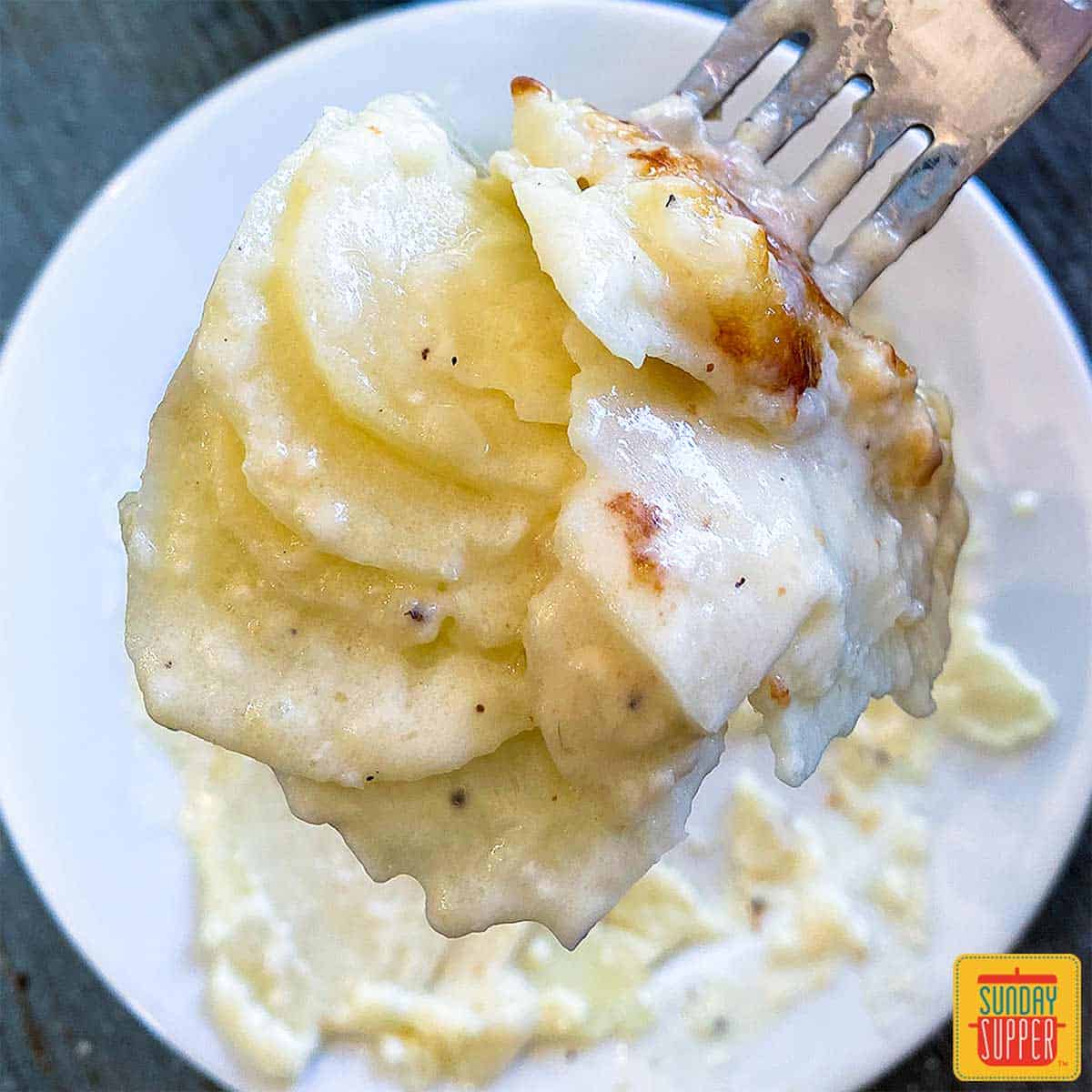 A forkful of Instant Pot Scalloped Potatoes over a white plate