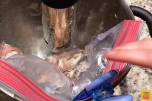 Adding pork chops in a bag to sous vide cooker