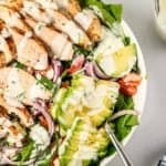 Grilled chicken salad up close with avocado and veggies