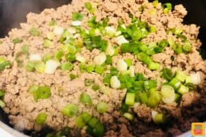 Adding green onion to pan with turkey