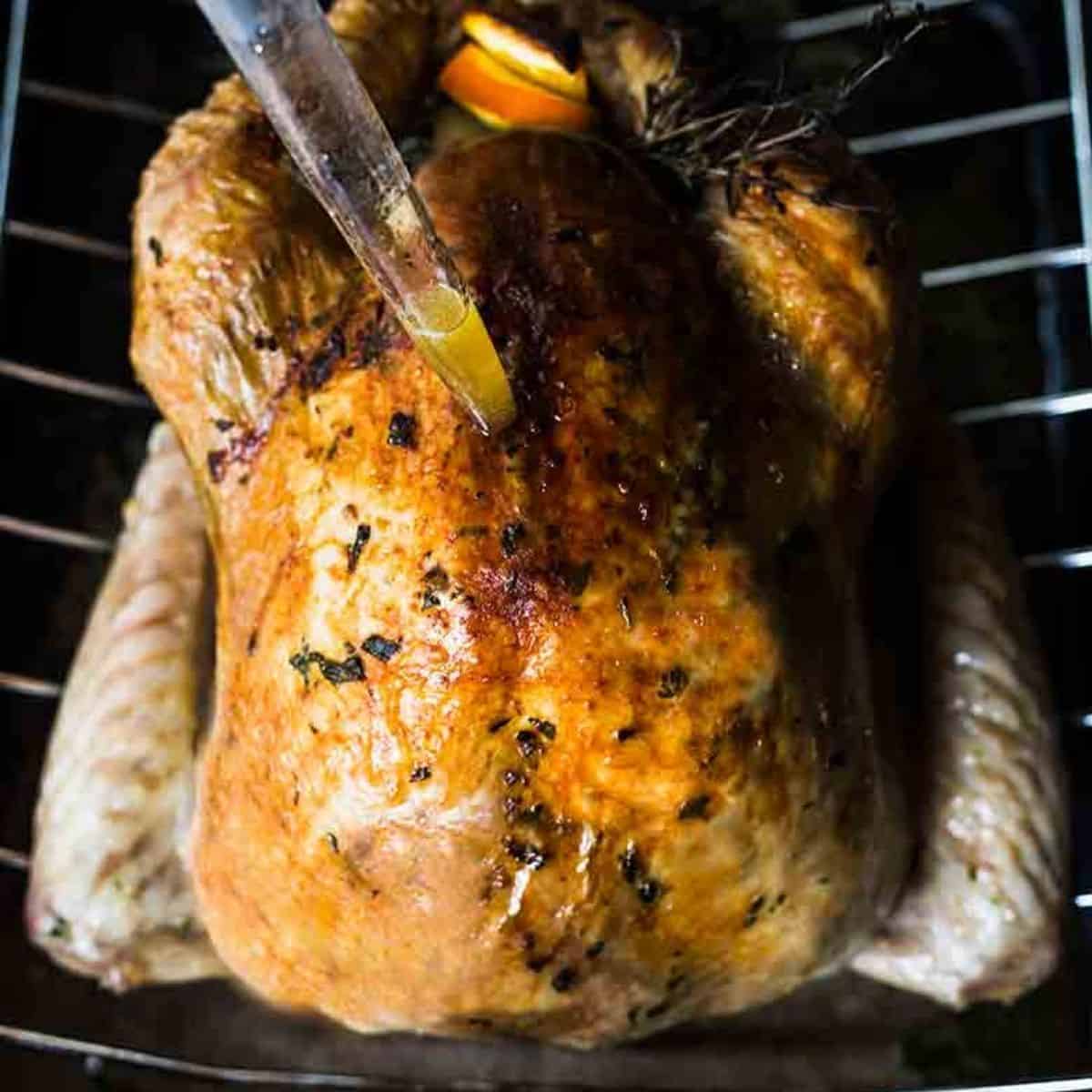 Best Holiday Dinner Recipes - Sunday Supper Movement