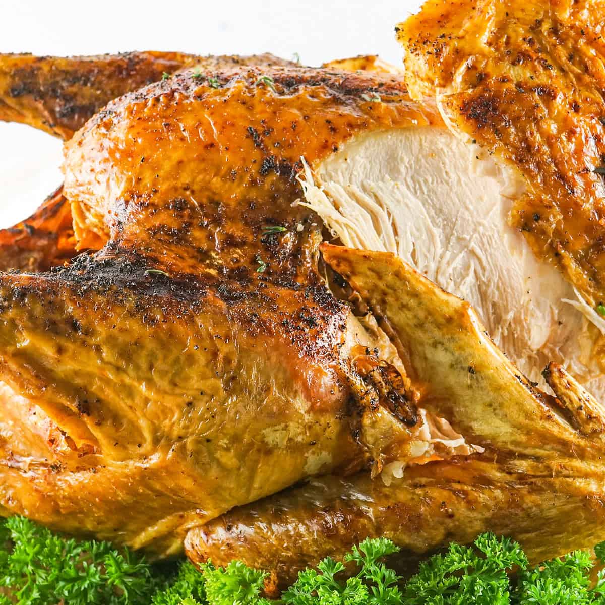 How do you TURKEY? Do you deep fry,do you bake it? What seasonings