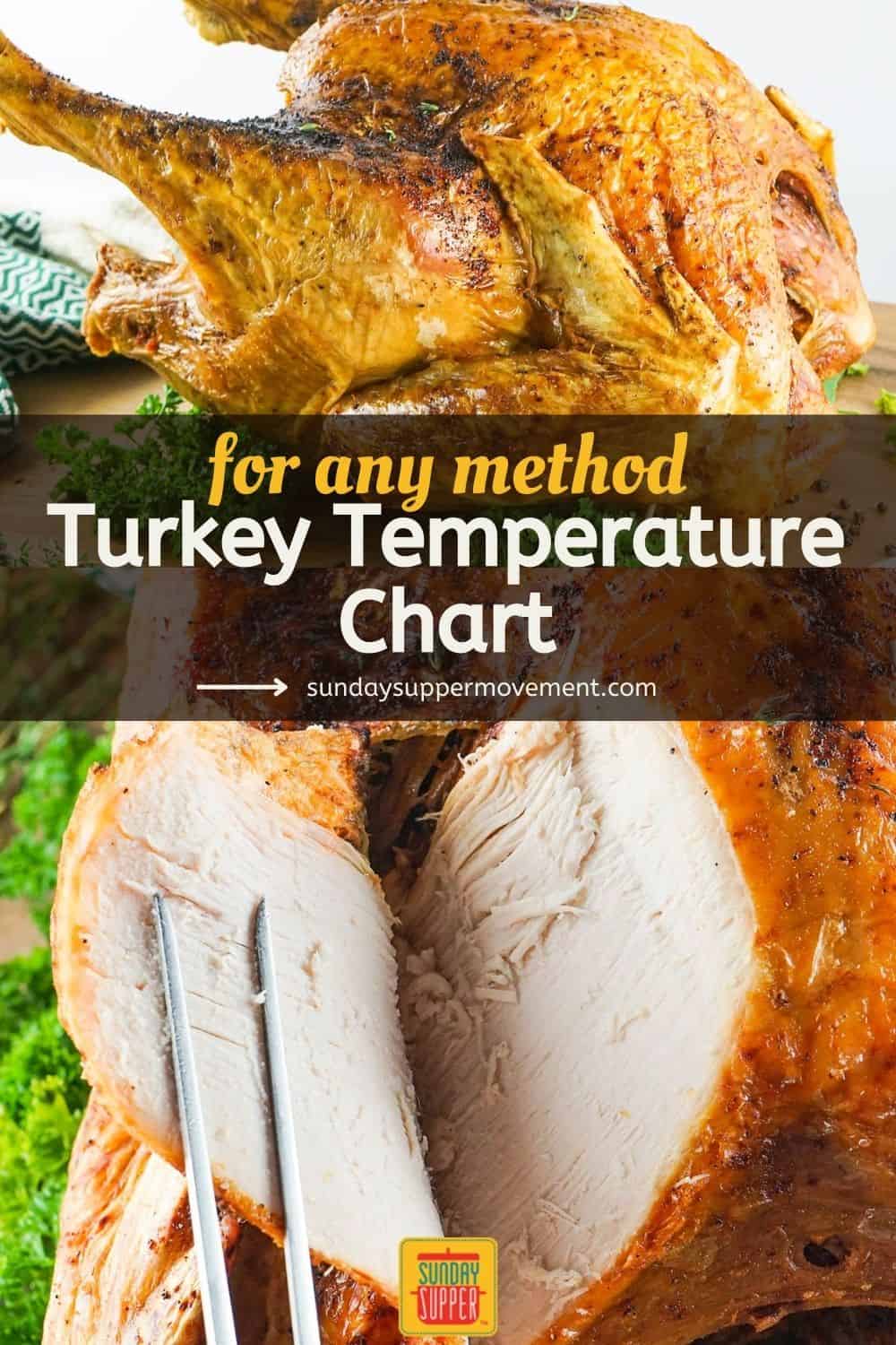 Turkey Temperature Sunday Supper Movement