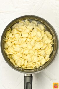 orecchiette pasta in a pot of water