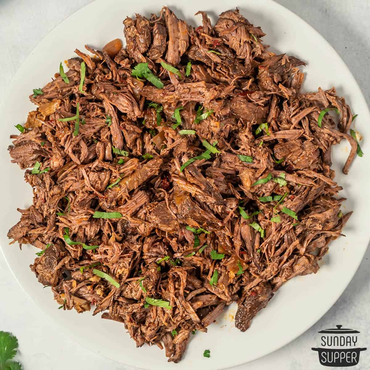 a plate of shredded barbacoa