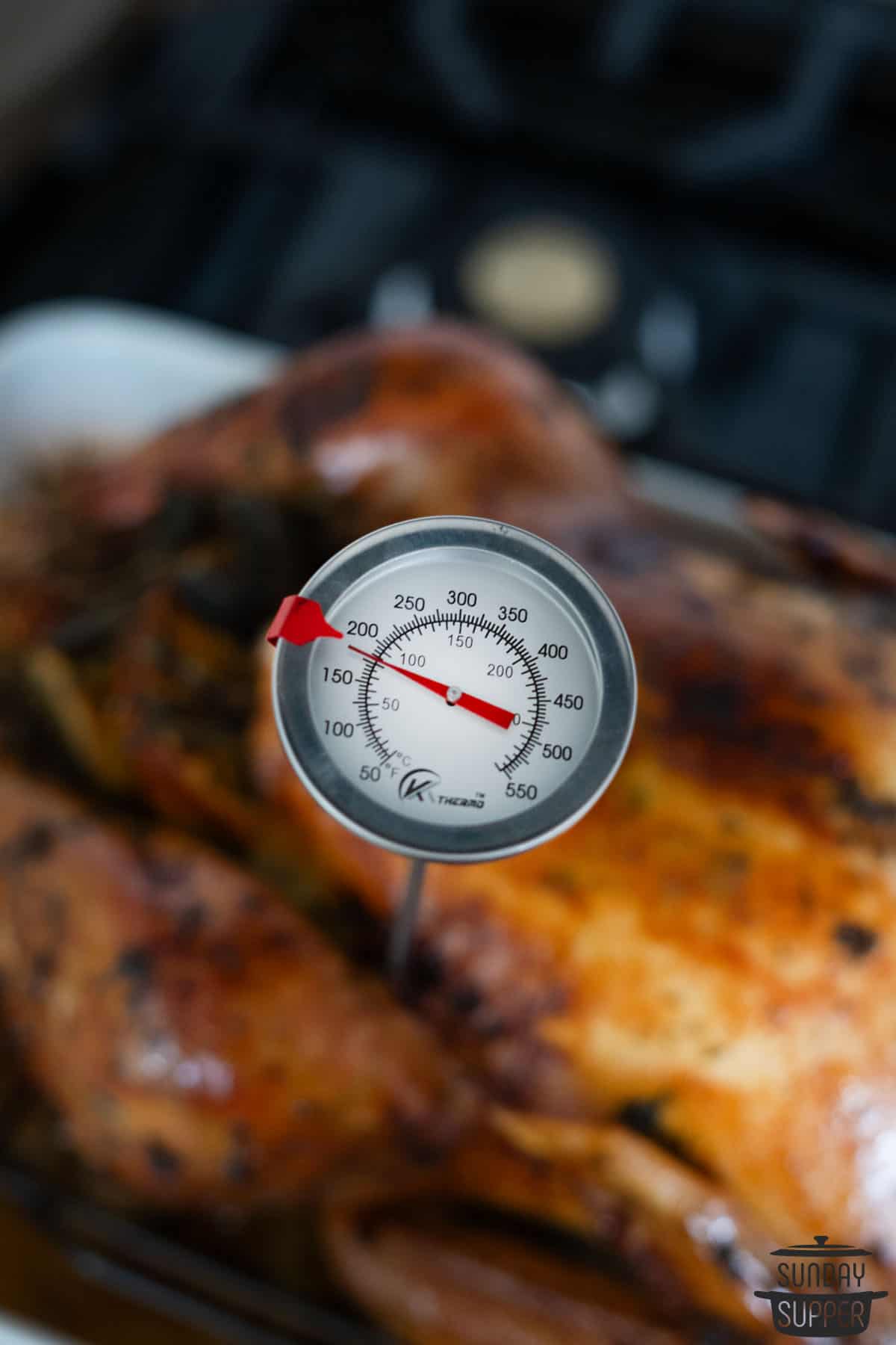 taking the internal temperature of turkey