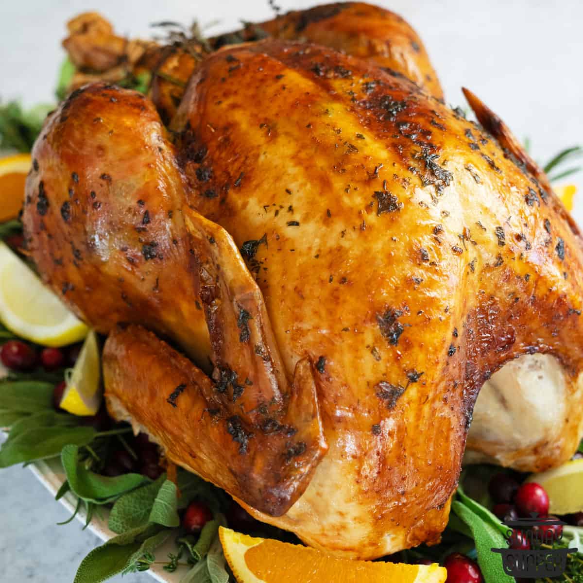 Perfect, Easy Thanksgiving Turkey Recipe - Creme De La Crumb