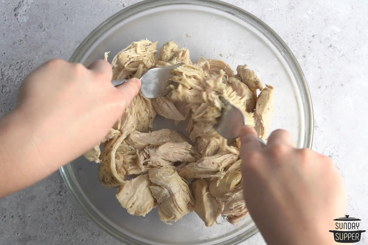 shredding chicken in a bowl with two forks