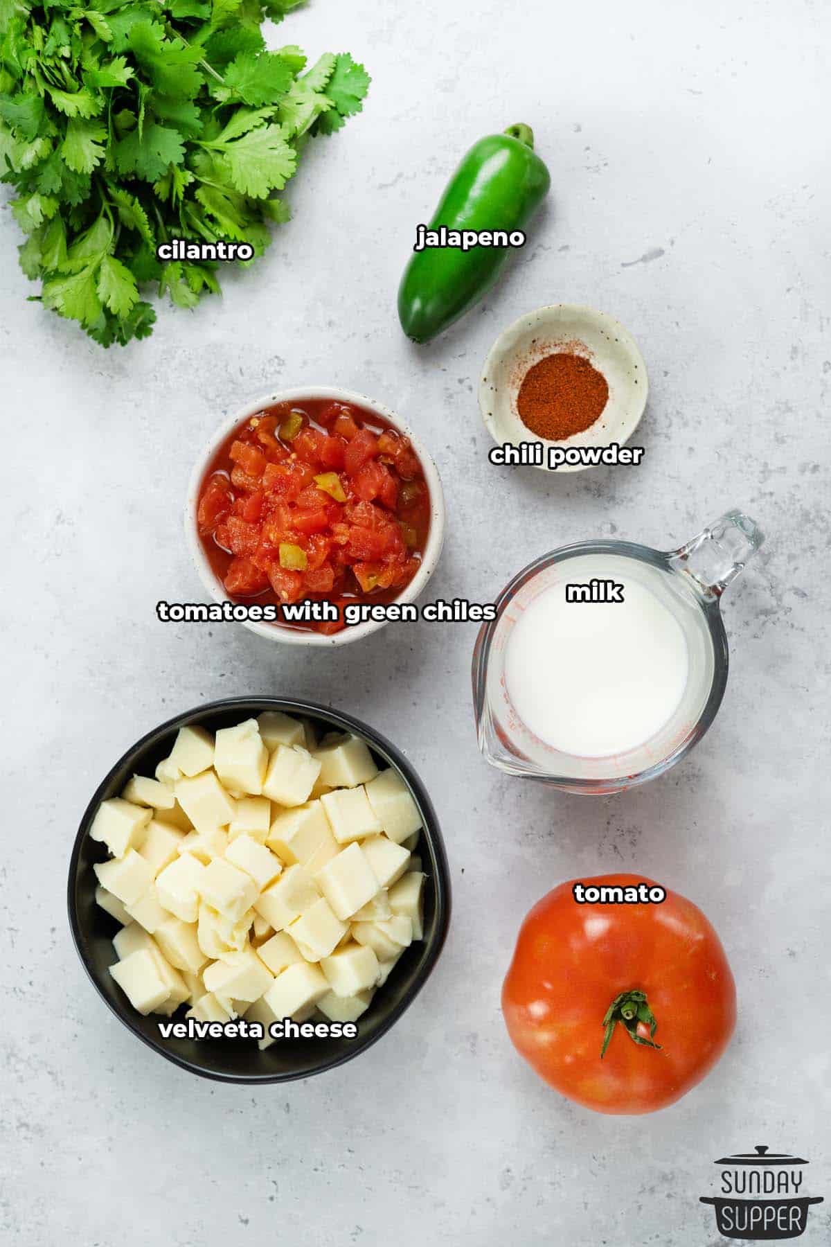 all the ingredients for queso blanco dip with labels