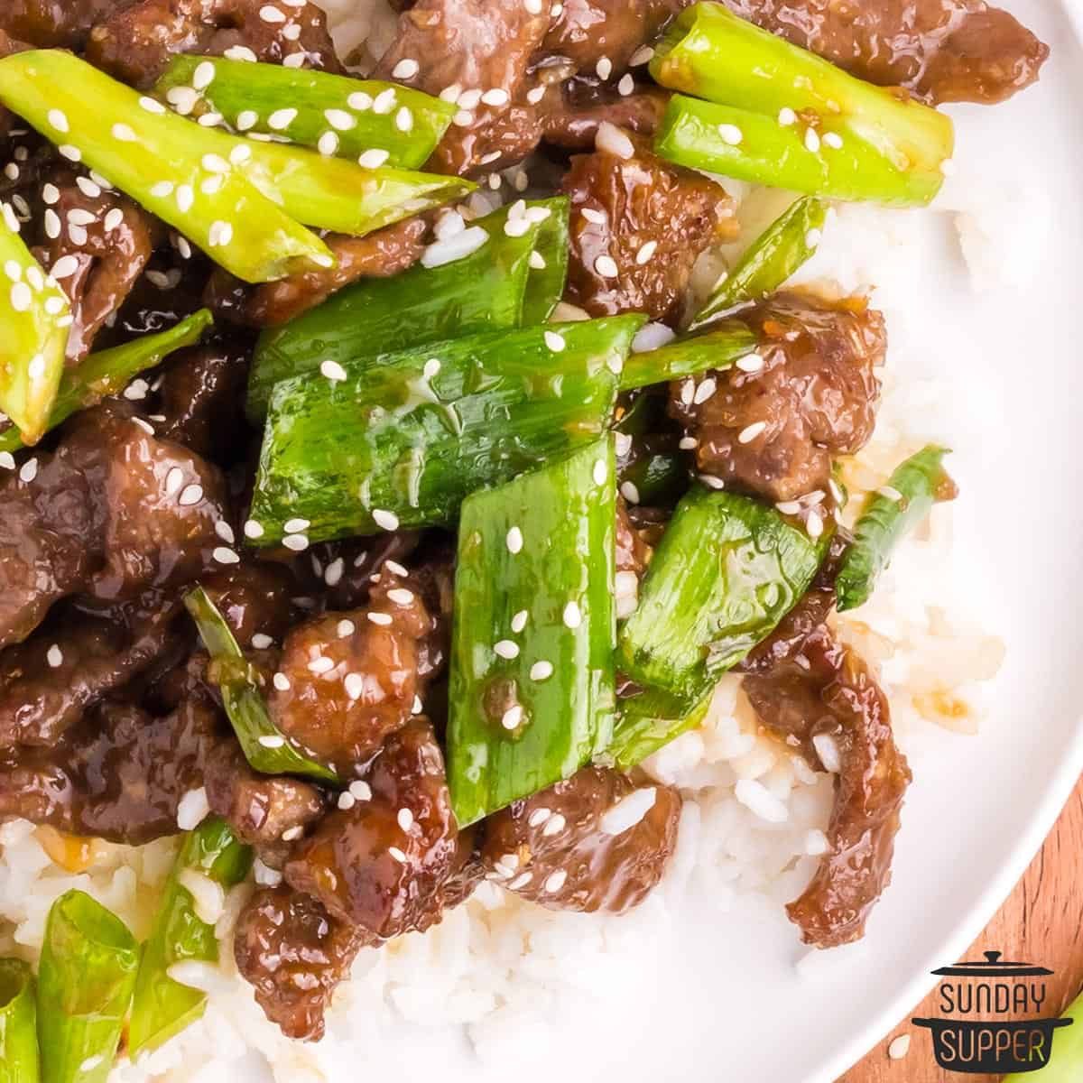 a closeup of mongolian beef on rice