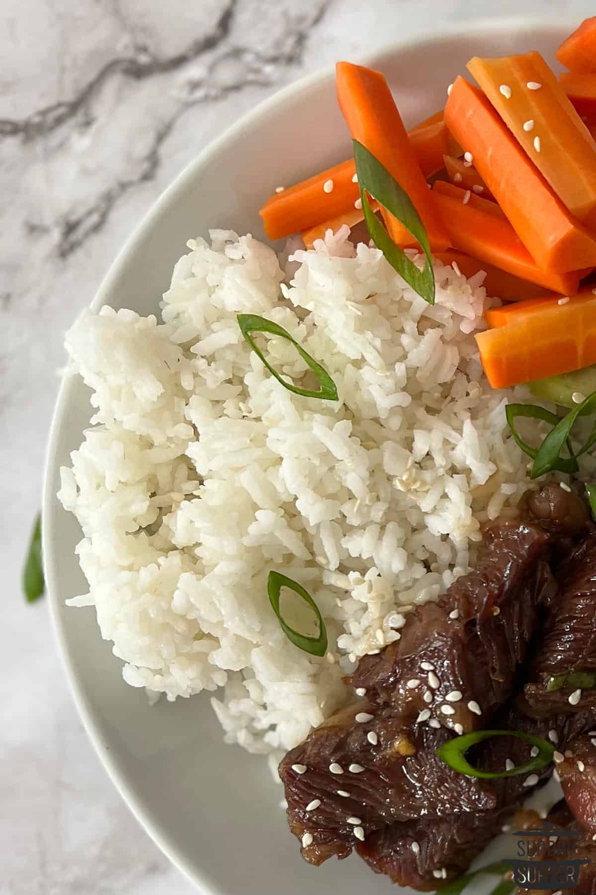 rice on a plate with green onions