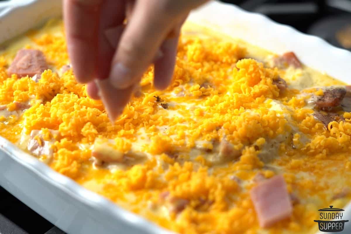 cheese sprinkled over the casserole