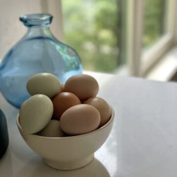 beautiful farm fresh eggs in a bowl