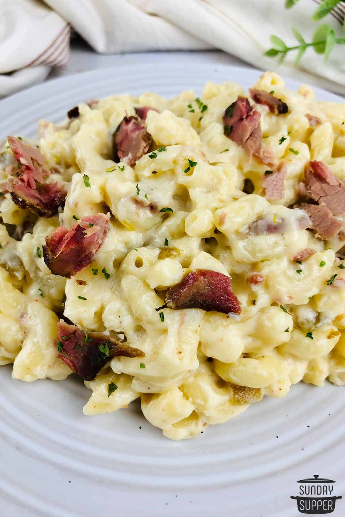 a plate filled with a heaping serving of brisket macaroni and cheese