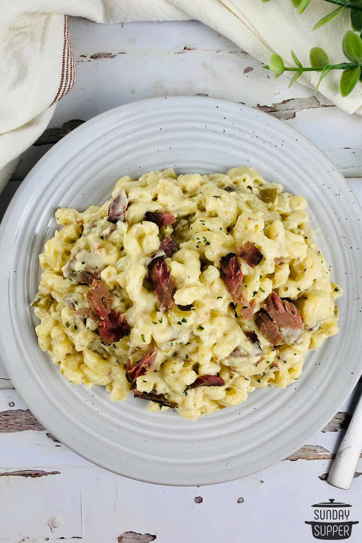 brisket macaroni on a plate