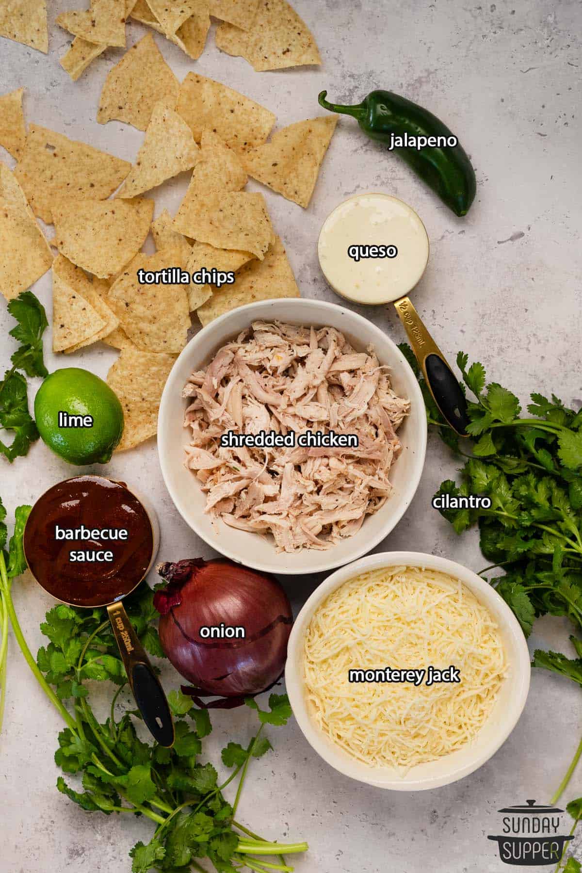 all the ingredients for chicken nachos with labels