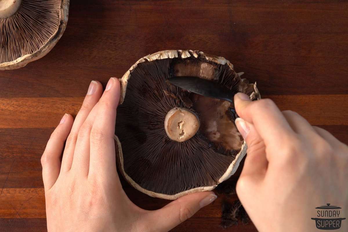 scraping mushroom