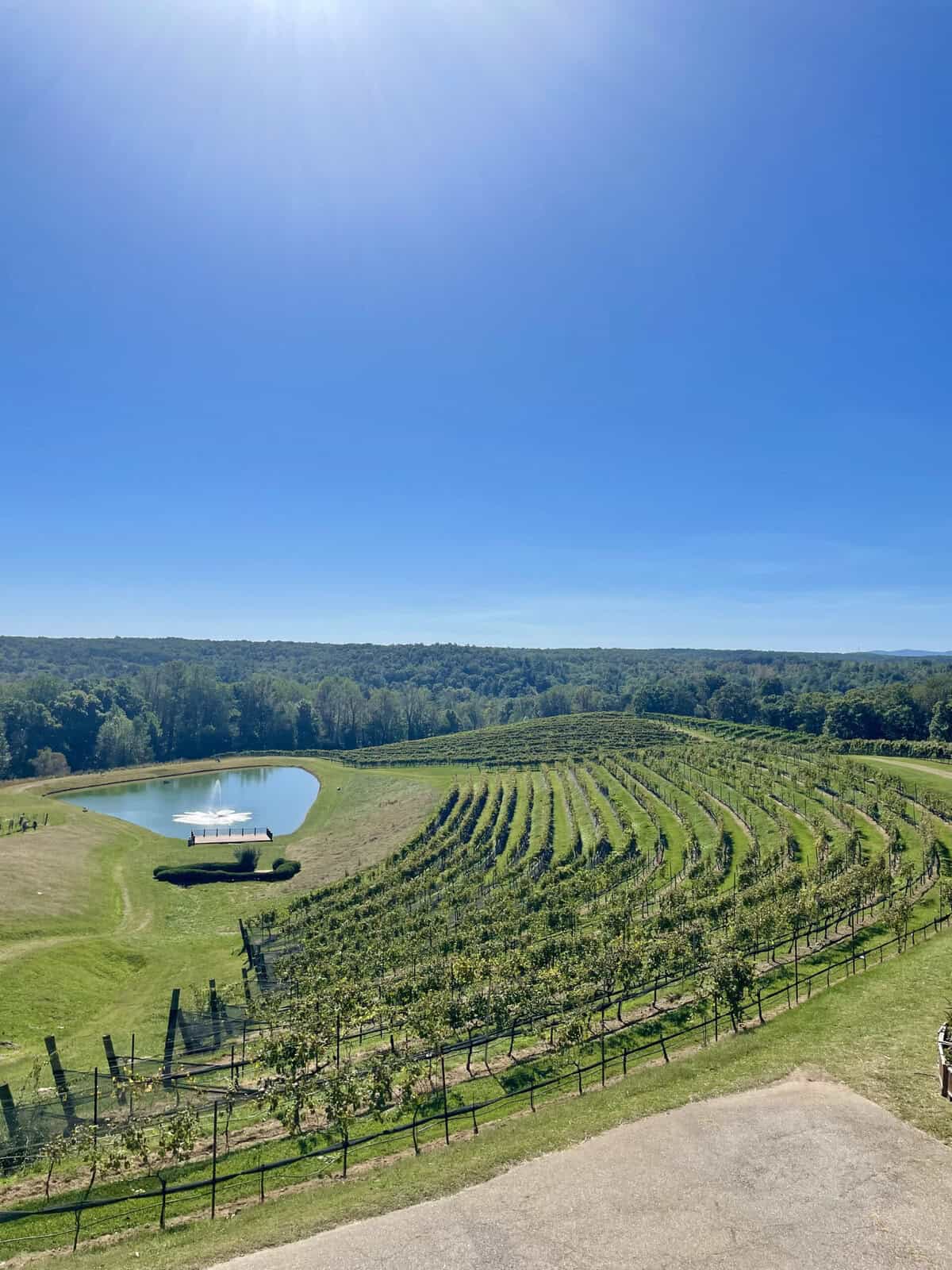 view of winery in georgia