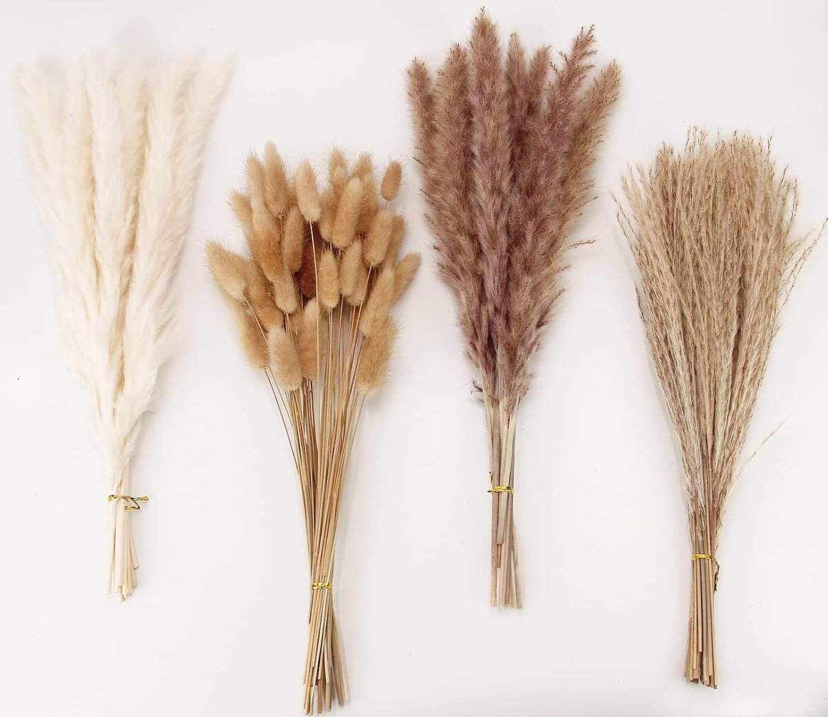 Dried pampas grass