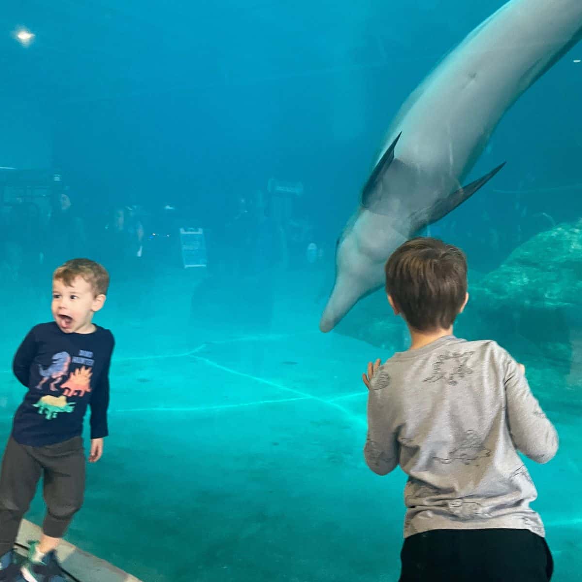 isabels grandkids at the aquarium