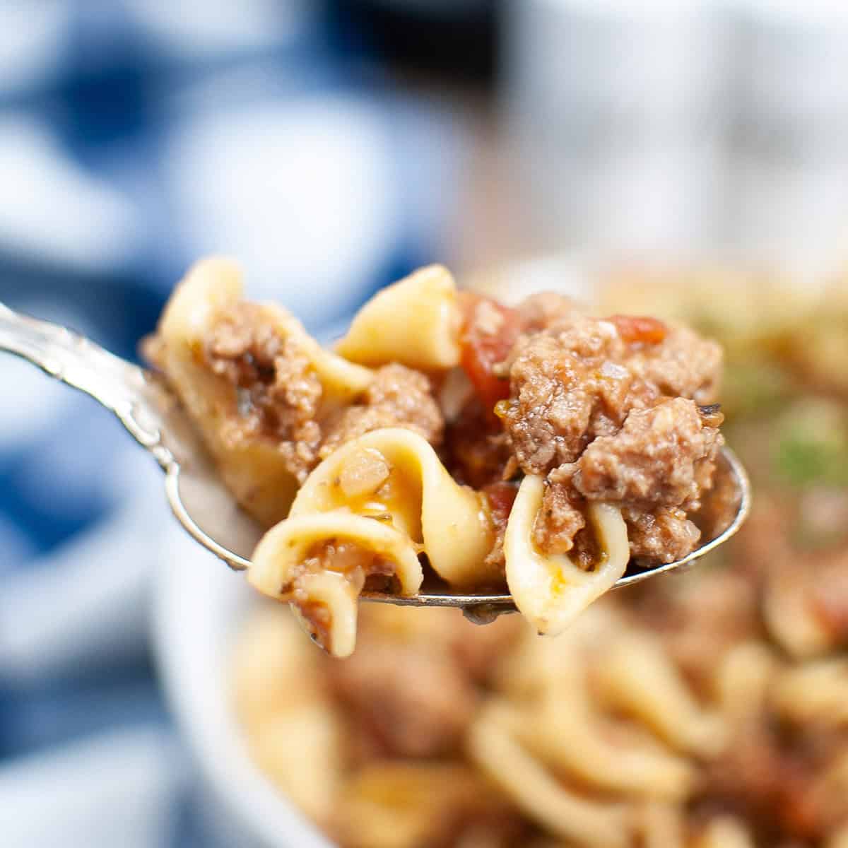 a spoon full of beef goulash to show detail