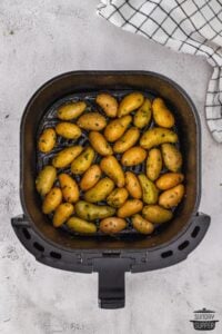 air fryer baby potatoes in the air fryer