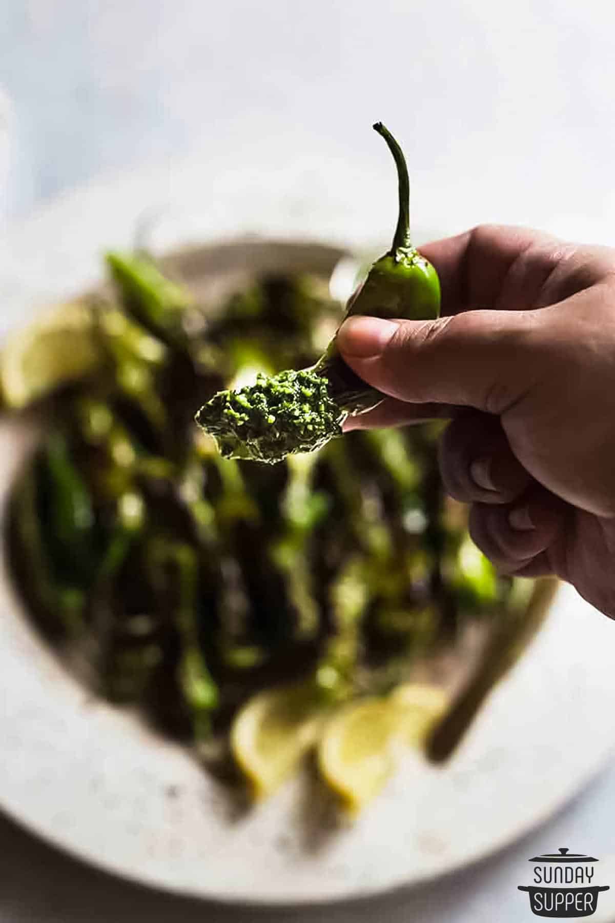 a blistered pepper dipped in pesto