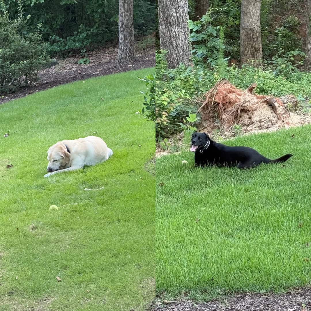 kev and lip outside enjoying their georgia life