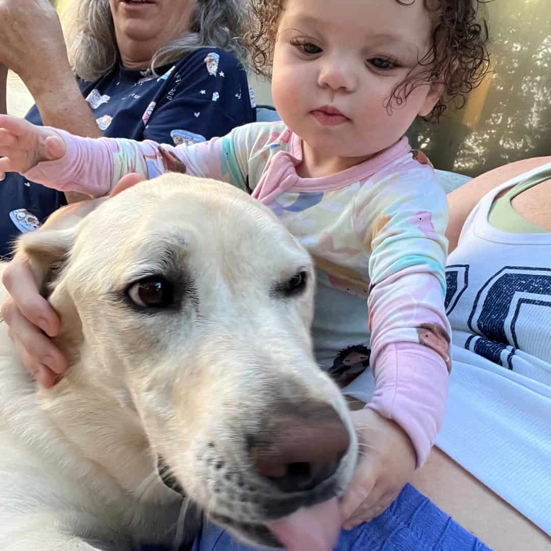 hazel and lip